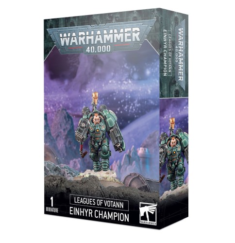 https___trade.games-workshop.com_assets_2022_10_99120118012_EinhyrChampStock.jpg