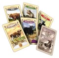 rebel-gra-ekonomiczna-great-western-trail-argentyna-asset2.jpg