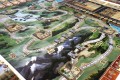 rebel-gra-strategiczna-great-western-trail-nowa-zelandia-foto8.jpg