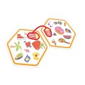 rebel-gra-rodzinna-dobble-connect-asset4.jpg