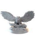 thorgal-promo-box (2).jpg