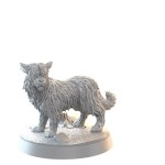 thorgal-promo-box (5).jpg