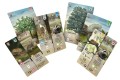 rebel-gra-strategiczna-lesne-rozdanie-dartmoor-asset2.jpg