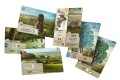 rebel-gra-strategiczna-lesne-rozdanie-dartmoor-asset1.jpg