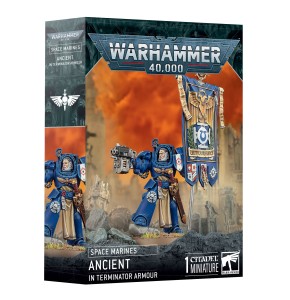 Space Marines Ancient in Terminator