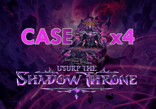 case.png