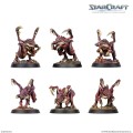 W2-Zerg-Starter-Set-6.jpg