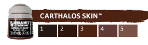 Warhammer Tone Pro - Carthalos Skin 1-5 - 5x 12ml