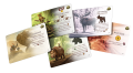 rebel-dodatek-everdell-zimowy-szczyt-karty.png